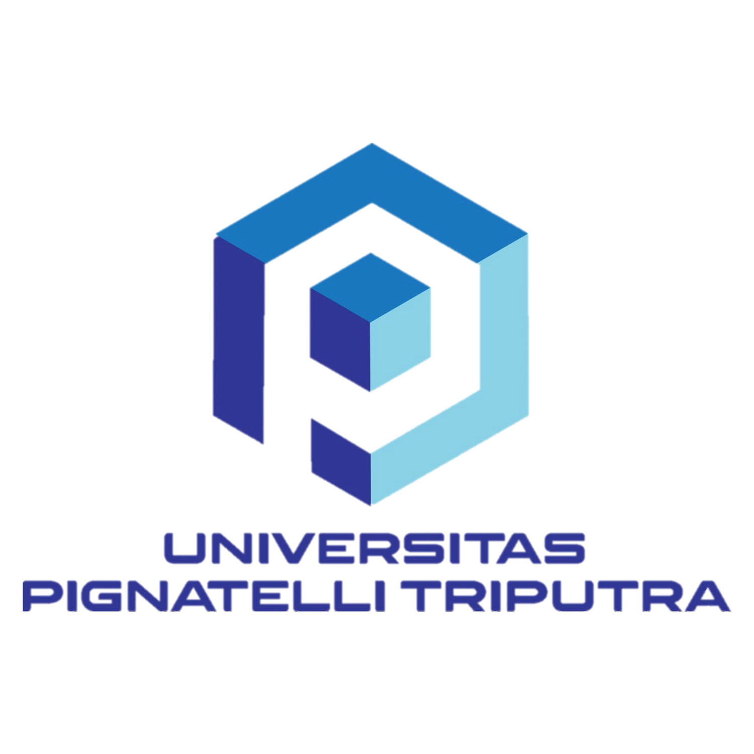 Gambar Logo PT Universitas Pignatelli Triputra