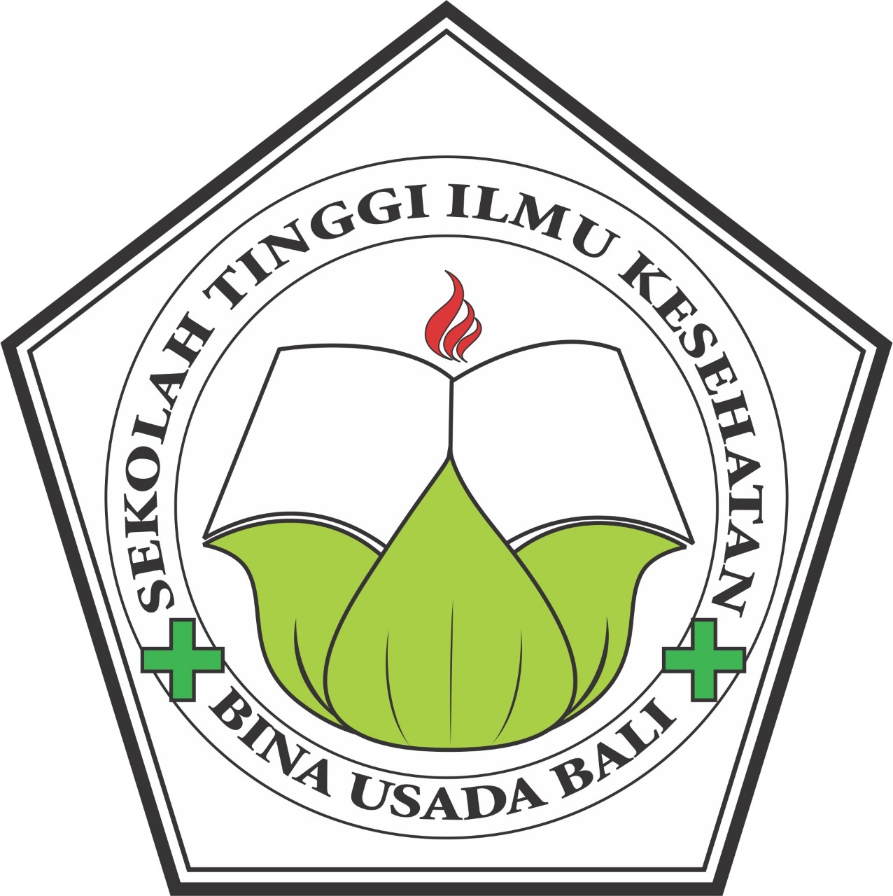 Gambar Logo PT STIKES Bina Usada Bali